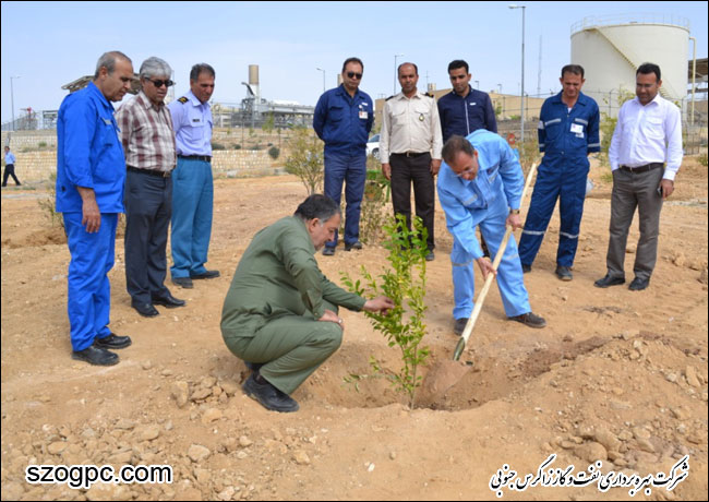 گرامیداشت روز درختکاری در شرکت بهره برداری نفت و گاز زاگرس جنوبی ( گزارش تصویری )