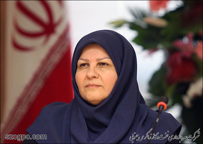 قائم مقام وزیر نفت عنوان کرد، تدوین قوانین سختگیرانه در صنعت نفت برای رعایت مسائل اچ‌اس‌یی