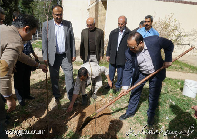 برگزاری مراسم روز درختکاری در شرکت بهره‌برداری نفت و گاز زاگرس جنوبی