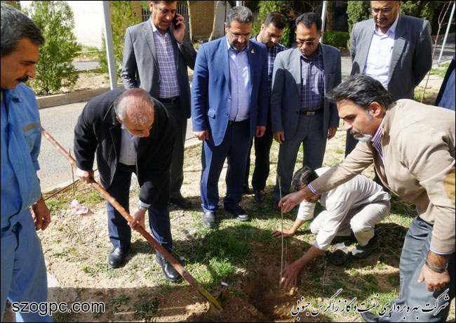 برگزاری مراسم روز درختکاری در شرکت بهره‌برداری نفت و گاز زاگرس جنوبی 2