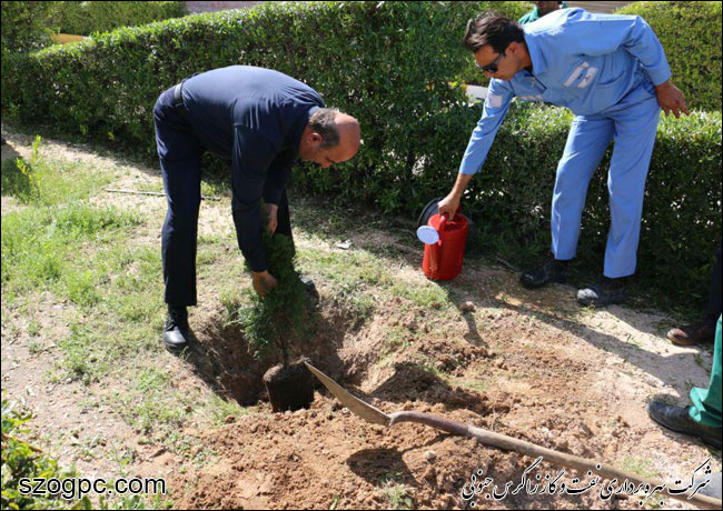برگزاری مراسم روز درختکاری در شرکت بهره‌برداری نفت و گاز زاگرس جنوبی 2