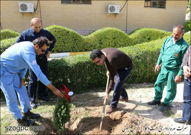 برگزاری مراسم روز درختکاری در شرکت بهره‌برداری نفت و گاز زاگرس جنوبی 3