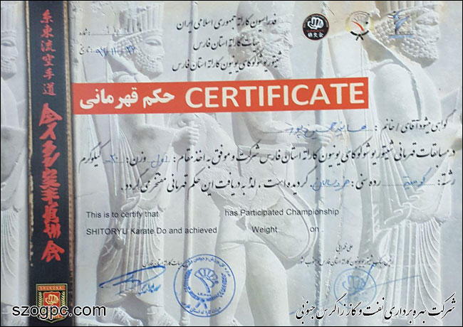 قهرمانی هانیه حسین پور 2