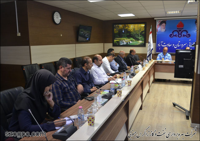 بازدید اساتید دانشگاه یاسوج از منطقه عملیاتی سروستان و سعادت‎آباد 8