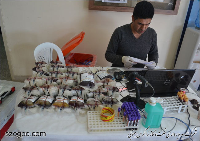 اهدای خون توسط کارکنان منطقه عملیاتی سروستان و سعادت آباد 8