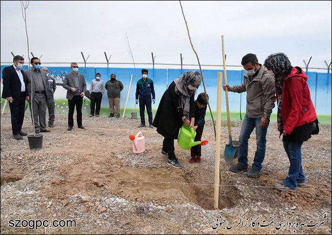 با کاشت ۳۱۰۰ اصله نهال به وسعت ۱۶۱ هکتار فضای سبز 2