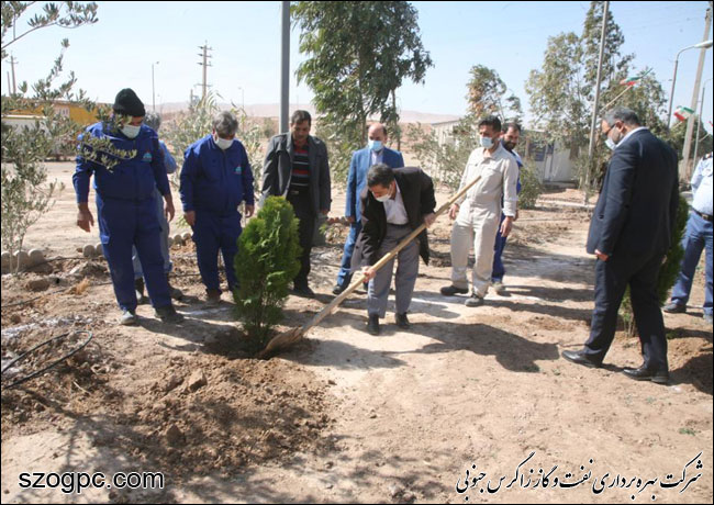 با کاشت ۳۱۰۰ اصله نهال به وسعت ۱۶۱ هکتار فضای سبز 3