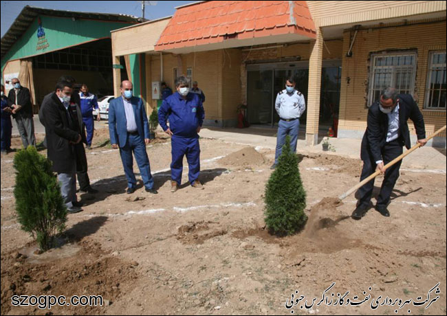 با کاشت ۳۱۰۰ اصله نهال به وسعت ۱۶۱ هکتار فضای سبز 5