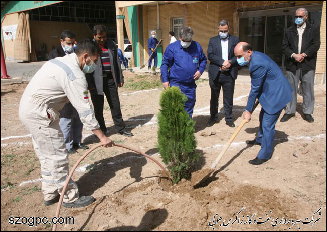 با کاشت ۳۱۰۰ اصله نهال به وسعت ۱۶۱ هکتار فضای سبز 7