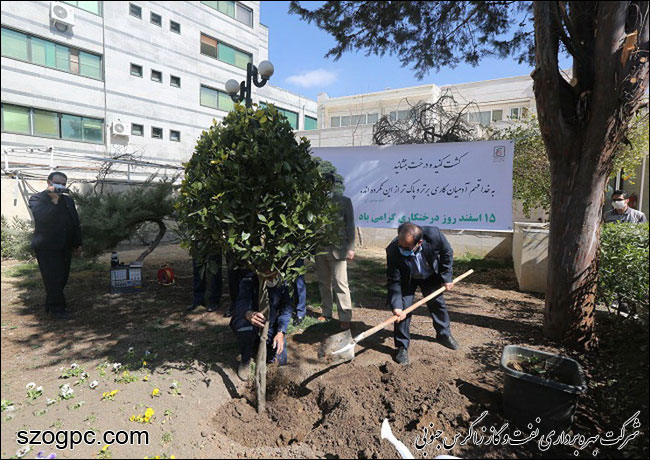 با کاشت ۳۱۰۰ اصله نهال به وسعت ۱۶۱ هکتار فضای سبز 10