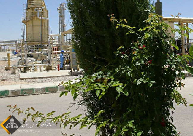 احداث و نگهداشت یک میلیون و ۵۰ هزار متر مربع فضای سبز صنعتی 4