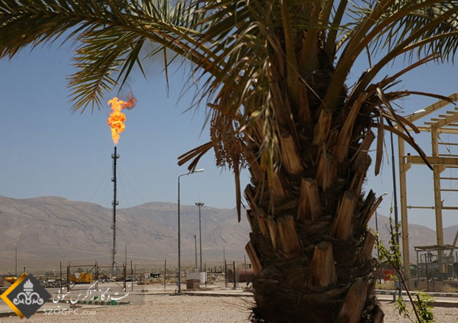 احداث و نگهداشت یک میلیون و ۵۰ هزار متر مربع فضای سبز صنعتی 7