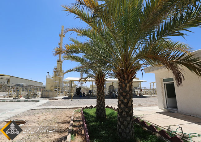 احداث و نگهداشت یک میلیون و ۵۰ هزار متر مربع فضای سبز صنعتی 9