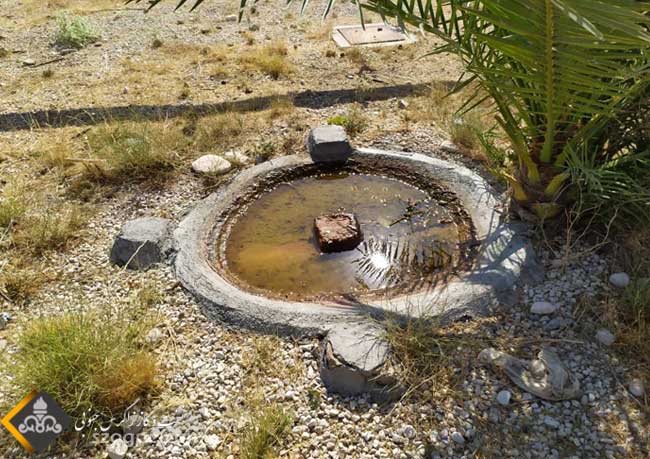 مشارکت منطقه عملیاتی نار وکنگان در طرح هر آبشخور حیات وحش 5
