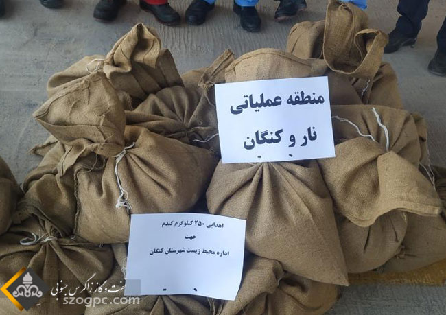 تامین خوراک پرندگان وحشی توسط منطقه عملیاتی نار و کنگان 2