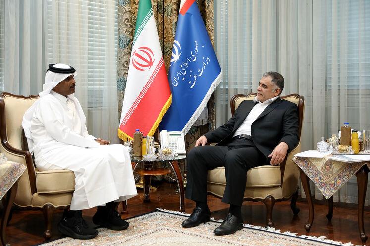 وزیر نفت با سفیر قطر در ایران دیدار کرد