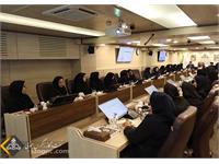 جلسه بانوان با مدیرعامل ستاد شیراز 8