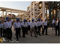 بازدید مدیرعامل شرکت نفت مناطق مرکزی ایران از منطقه عملیاتی نار و کنگان 12