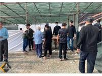 برپایی دو موکب و خدمت‌رسانی به زائران حسینی در دهلران و دشت عباس 6