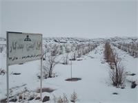 تلاش بی‌وقفه کارکنان شرکت نفت مناطق مرکزی ایران 5