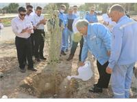 روز درخت کاری منطقه آغار و دالان 2