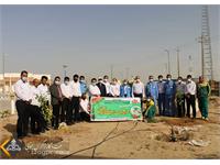 استقبال زاگرس جنوبی با کاشت نهای در روز درختکاری 10