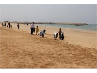 پاکسازی ساحل خلیج همیشه فارس توسط کارکنان منطقه عملیاتی نار و کنگان 11