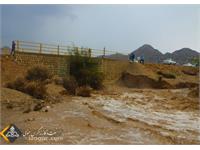 استمرار تولید 1401 3