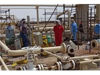 پروژه تفکیک گر شانول 2