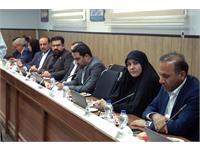 نشست مشترک با ارزیابان مدل تعالی سازمانی 8