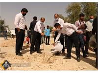 استقبال زاگرس جنوبی با کاشت نهای در روز درختکاری 13