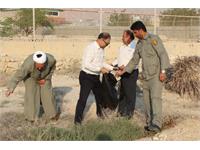 مراسم گرامیداشت روز ملی خلیج‌ فارس، در منطقه عملیاتی نار و کنگان در خلیج فارس در استان بوشهر برگزار شد 9