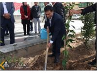 روز درختکاری 1401 16