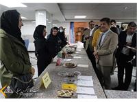 برگزاری دومین جشنواره غذا برای خانواده های زاگرس جنوبی 4