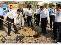 روز درخت کاری منطقه آغار و دالان 1