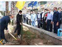 استقبال زاگرس جنوبی با کاشت نهای در روز درختکاری 21
