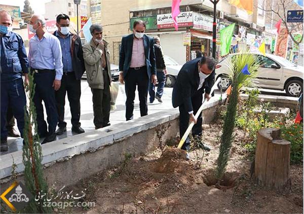 استقبال زاگرس جنوبی با کاشت نهای در روز درختکاری 27