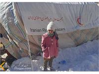 توزیع اقلام مورد نیاز زلزله زدگان خوی 4