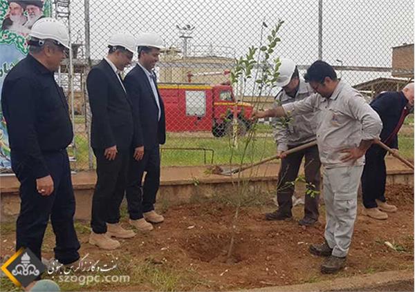 مشارکت شرکت نفت مناطق مرکزی ایران در جهاد ملی کاشت یک میلیارد درخت 5
