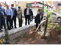 استقبال زاگرس جنوبی با کاشت نهای در روز درختکاری 27