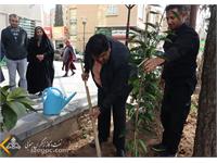 روز درختکاری 1401 15