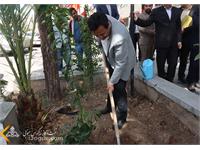 روز درختکاری 1401 4