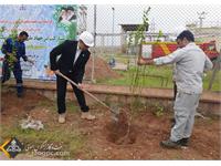 مشارکت شرکت نفت مناطق مرکزی ایران در جهاد ملی کاشت یک میلیارد درخت 7