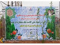 مشارکت شرکت نفت مناطق مرکزی ایران در جهاد ملی کاشت یک میلیارد درخت 1