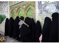 آیین غبارروبی ضریح حرم حضرت معصومه(س) توسط کارکنان شرکت نفت مناطق مرکزی ایران 15