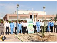 روز درختکاری 1401 10