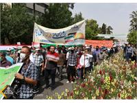 راهپیمایی روز قدس شیراز 3