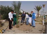 استقبال زاگرس جنوبی با کاشت نهای در روز درختکاری 20