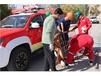 برگزاری دوره های آموزشی تخصصی امداد و نجات تخصصی آتش نشانان در شرکت زاگرس جنوبی 3