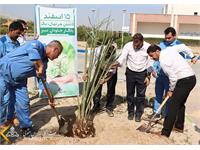 روز درختکاری 1401 12